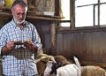 Koyuncu baba bugüne kadar 45 bin kitap biriktirdi