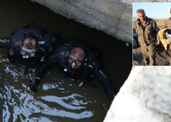 Kanalda mahsur kalan karabataklar kurtarıldı