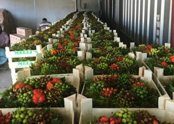 Türk kadınlarının el emeği süsleri Avrupa’ya ihraç ediliyor