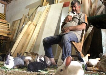 Marangozun örnek tavşan sevgisi