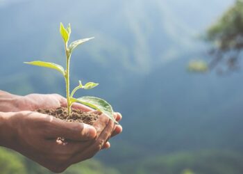 22 ilde ekolojik koridor oluşturulacak