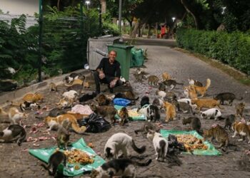 Sokak hayvanlarını doyurmak için motosikletiyle İzmir’i turluyor