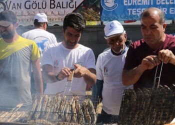 Van’daki festivalde bir ton inci kefali dağıtıldı