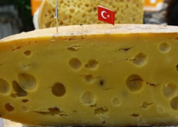 Yöresel peynirler Kars’ta buluştu