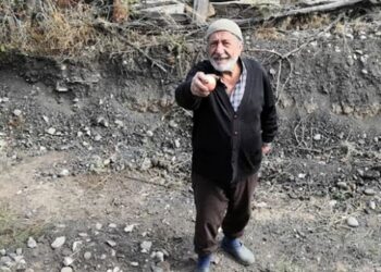 Trendeki yolculara bahçesini açtı