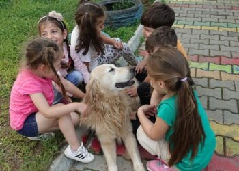 Meks sayesinde hayvan sevgisini öğreniyorlar