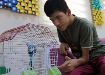 Otizmli çocuklara Maviş ve Limon ile terapi