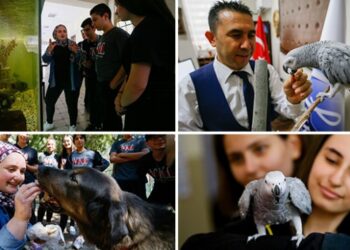 İzmir’deki okulda ilk ders hayvan sevgisi