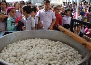 Minikler ipek böcekçiliği ile tanıştı