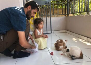 Hayvansever imam 6 sokak kedisine sahip çıktı