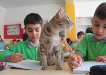 Sınıfın neşesi “Tarçın”