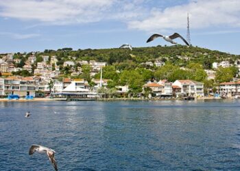 İstanbul’un Adalar’ı “Sıfır Atık” bölgesi oldu
