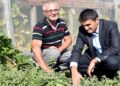 Hobi amacıyla kurdukları serada 30 çeşit meyve ve sebze ürettiler