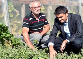 Hobi amacıyla kurdukları serada 30 çeşit meyve ve sebze ürettiler