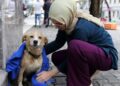 Yağmurda ıslanan köpeği kıyafetiyle kuruladı
