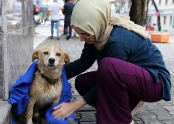 Yağmurda ıslanan köpeği kıyafetiyle kuruladı