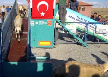 Koyunlar “Mobil Koyun Banyosu” ile daha sağlıklı olacak