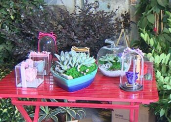 İstanbul’un mis kokulu festivali: Floralfest