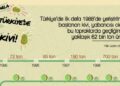 Türkiye’de 2018’de yaklaşık 62 bin ton kivi üretildi
