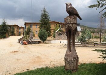 Kadın heykeltıraşlardan “Anadolu Kadınları” çalışması