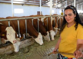 17 yıl sonra döndüğü köyünde süt tesisi kurdu