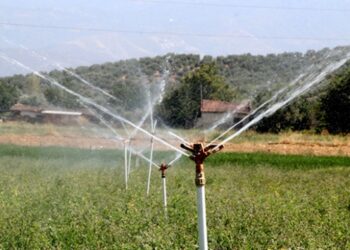 Doğu’nun Çukurova’sı sulama projeleriyle hayat buluyor