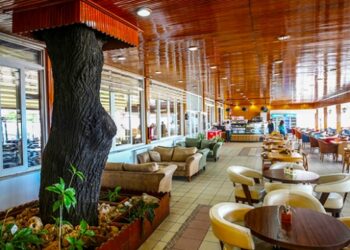 Bursa Orduevinin asırlık çınarları