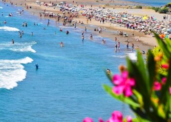 İztuzu Plajı’nda caretta caretta hassasiyeti