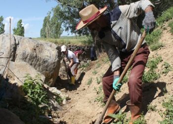 Hayvanları için 169 yıllık su kanalını temizliyorlar