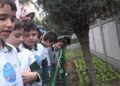 ‘Su Kaşifi’ projesiyle öğrenciler yağmur sularını toplayıp sebze yetiştirdi