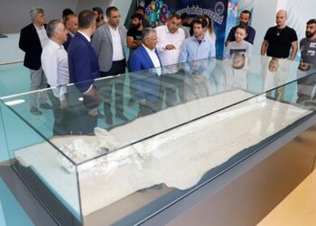 Bilim insanlarından Kayseri’deki 7,5 milyon yıllık fosillere ilgi