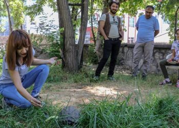 Yaralı buldukları kaplumbağa ailenin ferdi oldu
