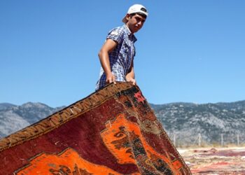 Halı tarlalarına yurt dışından ilgi büyük
