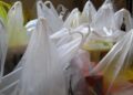 Yeni Zelanda’da plastik poşet yasağı başladı