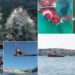 Denizcilik ve Kabotaj Bayramı coşkuyla kutlandı