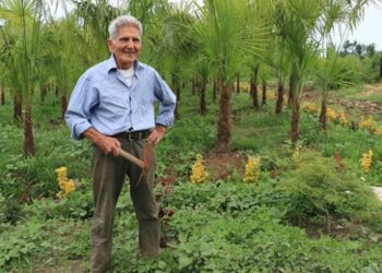 Yıllarca emek verip kıraç alanı “botanik park” yaptı