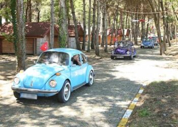 Ordu’da “15. Vosvos Şenliği” başladı