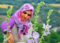 Hatmi çiçeğinin “şifa” yolculuğu