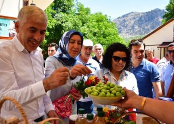 Tamzara ekolojik pazarı yeni sezonu açtı