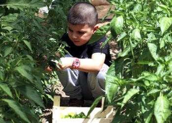 Doğa ve hayvanlarla iç içe eğitim