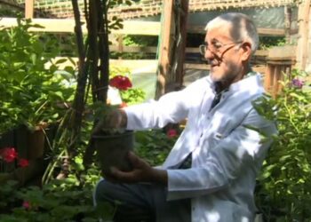 Hastalanan çiçekleri iyileştiren “çiçek doktoru”