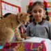 Kedi “Tombi” yeniden ders başı yaptı