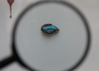 İncir çekirdeğini dolduran adam hayran bıraktı