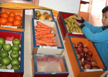Öğrenciler görevlisi olmayan manavda dürüstlüğü öğreniyor