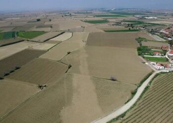 Ege’nin kullanılmayan arazileri tarıma kazandırılıyor
