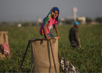 2018 çocuk işçiliği ile mücadele yılı ilan edildi