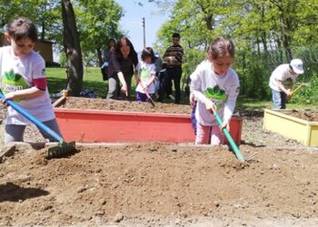 Minik çiftçiler sebze ve meyvelerini kendileri yetiştirecek