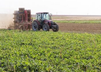 Atatürk Orman Çiftliği tarımsal üretim alanı kiralayacak