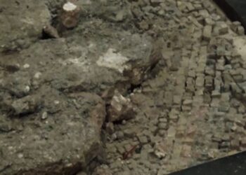 Amasya’da bulunan elma motifli mozaik müzede sergilenecek