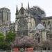 Notre Dame Katedrali’nin renovasyonuna UNESCO’dan destek